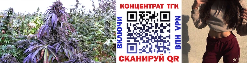 Купить где  Морозовск  Дистиллят ТГК Wax 
